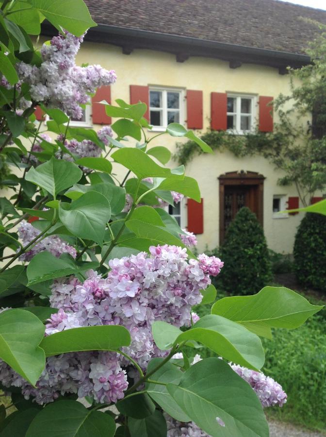 Haus Probst Am See Acomodação com café da manhã Schondorf am Ammersee Exterior foto