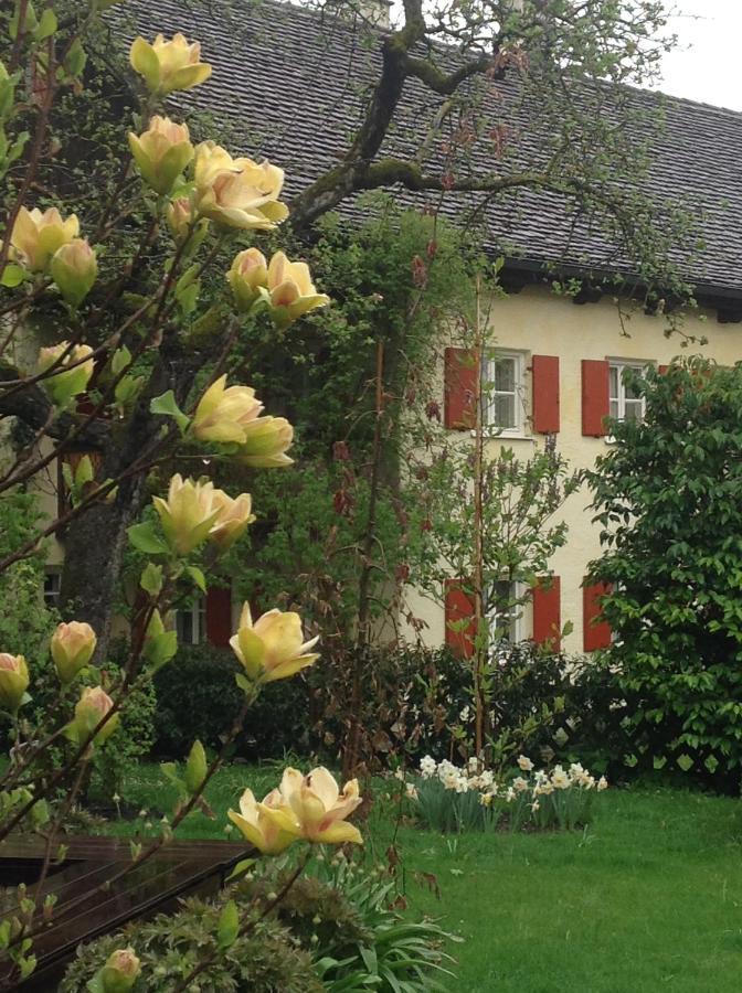 Haus Probst Am See Acomodação com café da manhã Schondorf am Ammersee Exterior foto